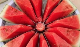 吃瓜网每日大赛 吃瓜--今日大赛完整版,今日大赛精彩瞬间大盘点